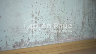 Cách tẩy vết vết bụi và bùn bám trên tường nhà đơn giản